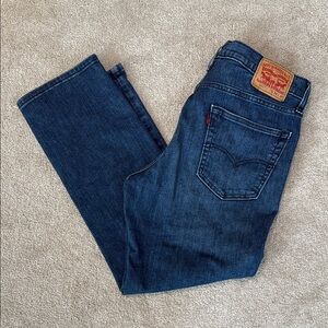 Levi's Men's Dark Blue Straight Jeans